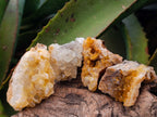 Natural Golden Limonite Quartz Clusters with Goethite x 28 From Solwezi, Zambia - Toprock Gemstones and Minerals 