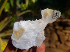Natural Etched Blue Chalcedony Geodes x 12 From Nsanje, Malawi - Toprock Gemstones and Minerals 