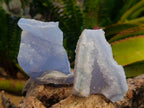 Natural Etched Blue Chalcedony Geodes x 12 From Nsanje, Malawi - Toprock Gemstones and Minerals 
