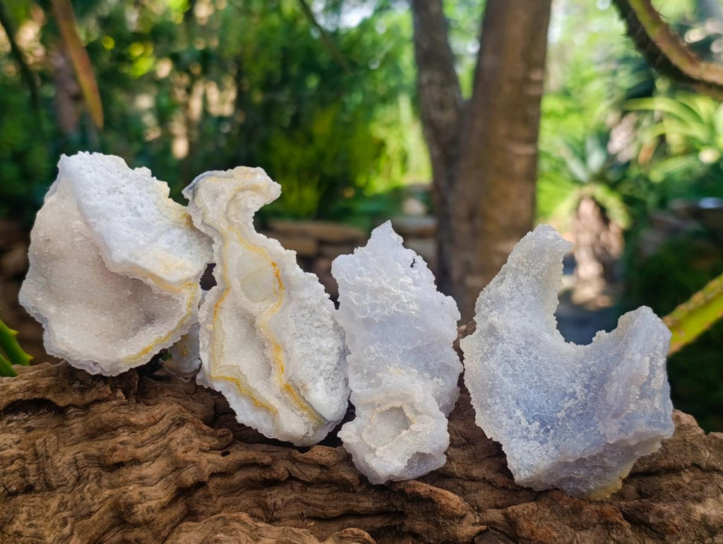 Natural Etched Blue Chalcedony Geodes x 12 From Nsanje, Malawi - Toprock Gemstones and Minerals 