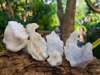 Natural Etched Blue Chalcedony Geodes x 12 From Nsanje, Malawi - Toprock Gemstones and Minerals 