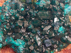 Natural Large Cabinet Dioptase on Dolomite Specimen x 1 From Likasi, Congo - Toprock Gemstones and Minerals 