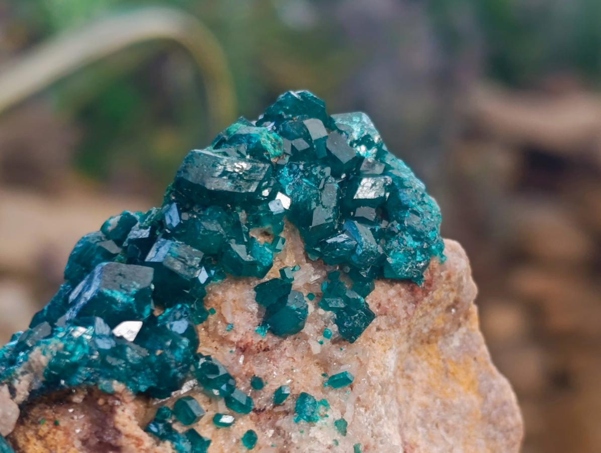 Natural Large Cabinet Dioptase on Dolomite Specimen x 1 From Likasi, Congo - Toprock Gemstones and Minerals 