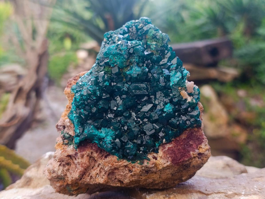 Natural Large Cabinet Dioptase on Dolomite Specimen x 1 From Likasi, Congo - Toprock Gemstones and Minerals 