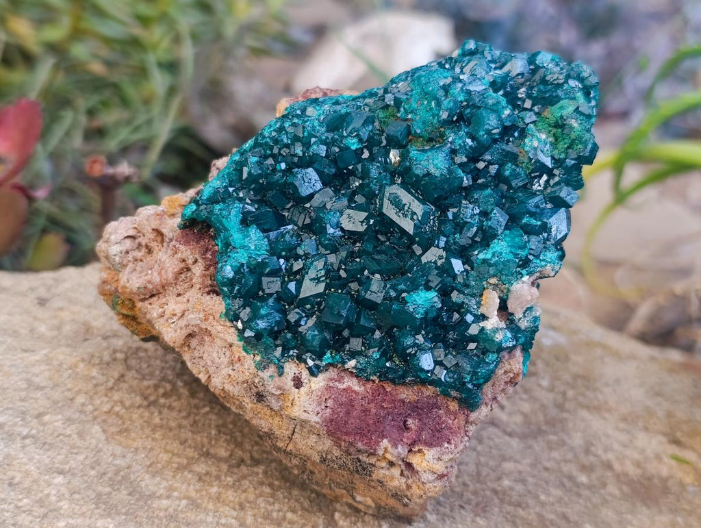 Natural Large Cabinet Dioptase on Dolomite Specimen x 1 From Likasi, Congo - Toprock Gemstones and Minerals 
