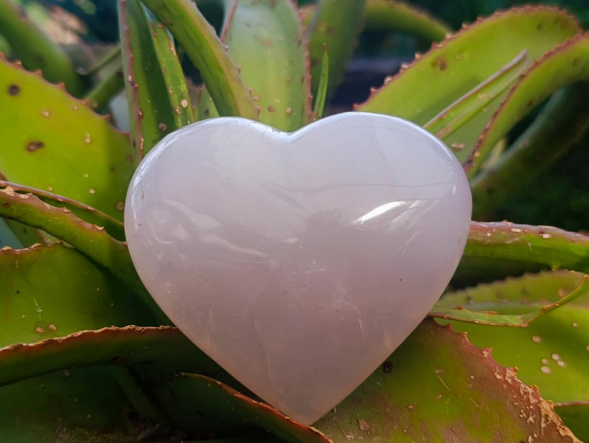 Polished Gemmy Girasol Rose Quartz Hearts x 3 From Madagascar - Toprock Gemstones and Minerals 