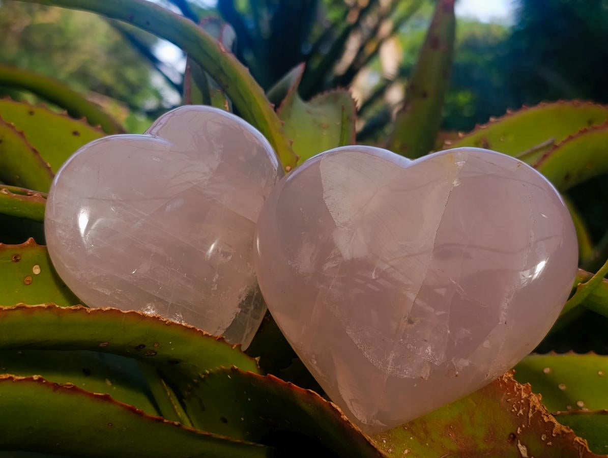 Polished Gemmy Girasol Rose Quartz Hearts x 3 From Madagascar - Toprock Gemstones and Minerals 