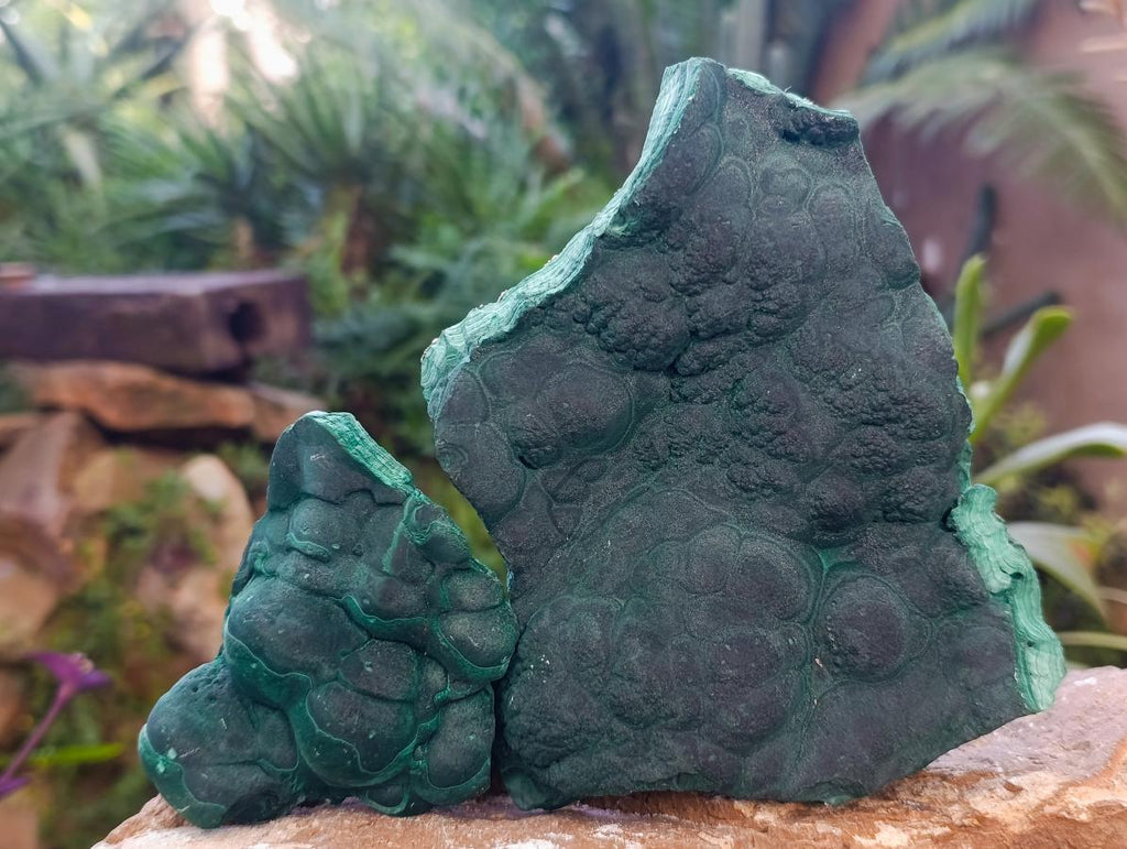 Natural Botryoidal Malachite Specimens x 2 From Congo - Toprock Gemstones and Minerals 