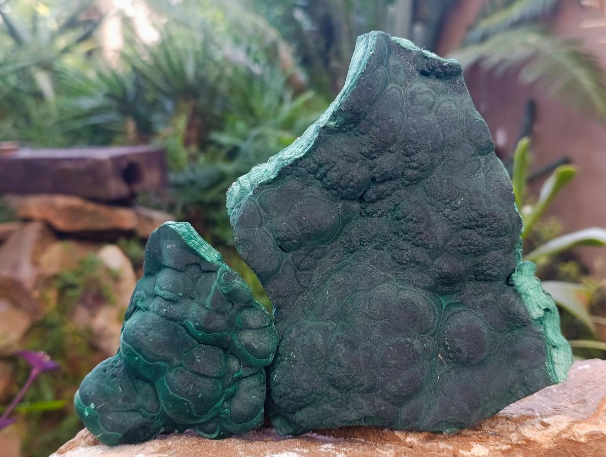 Natural Botryoidal Malachite Specimens x 2 From Congo - Toprock Gemstones and Minerals 