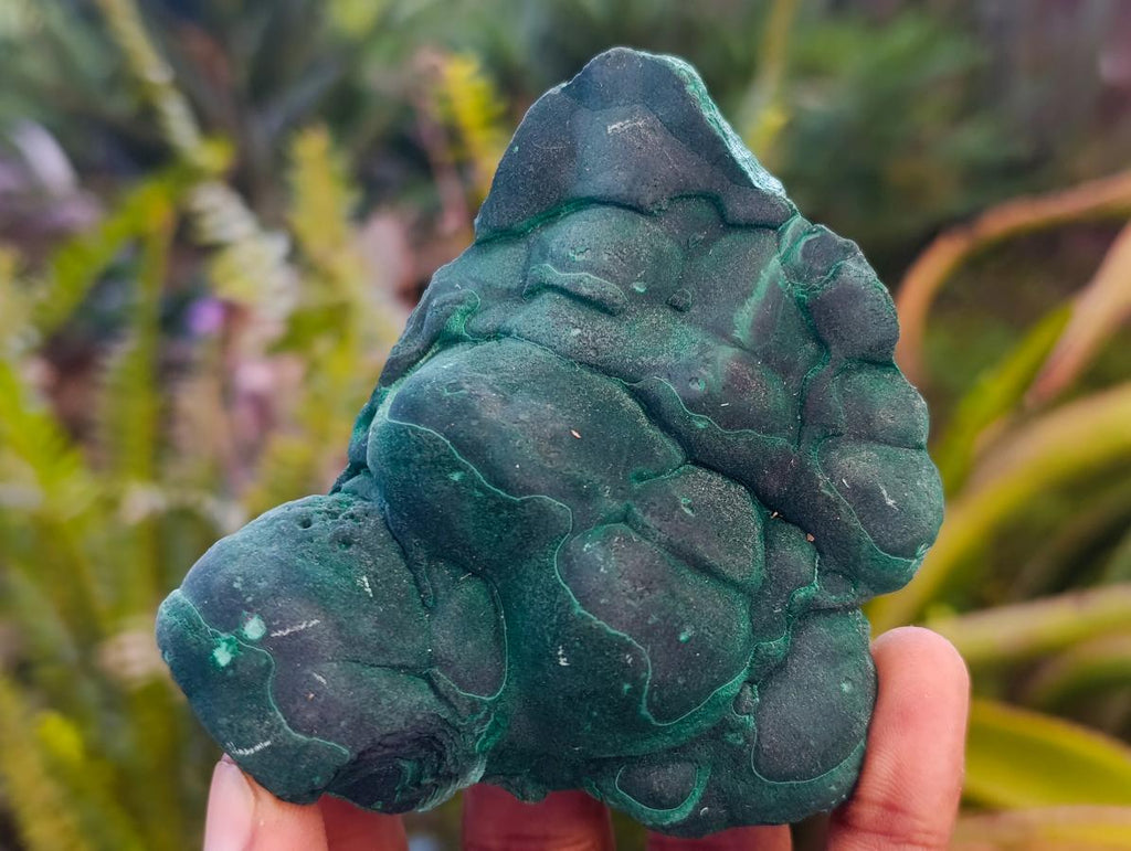 Natural Botryoidal Malachite Specimens x 2 From Congo - Toprock Gemstones and Minerals 