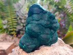 Natural Botryoidal Malachite Specimens x 2 From Congo - Toprock Gemstones and Minerals 