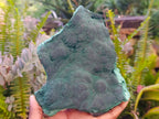 Natural Botryoidal Malachite Specimens x 2 From Congo - Toprock Gemstones and Minerals 