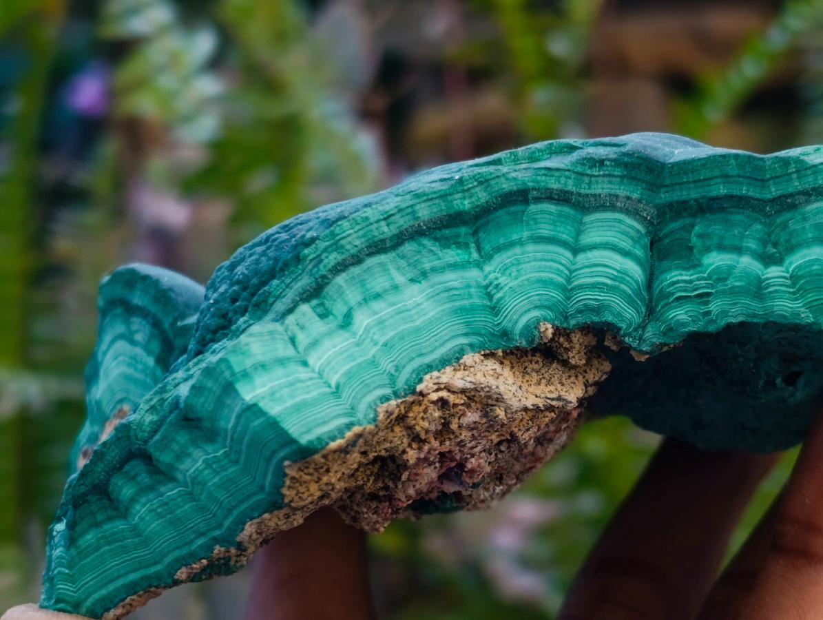 Natural Botryoidal Malachite Specimens x 2 From Congo - Toprock Gemstones and Minerals 
