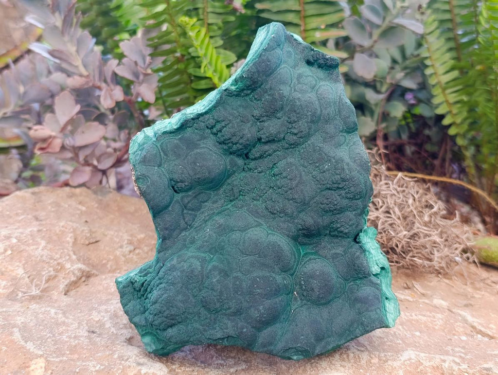 Natural Botryoidal Malachite Specimens x 2 From Congo - Toprock Gemstones and Minerals 