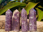 Polished Lepidolite Display Crystals x 12 From Ambatondrazaka, Madagascar - Toprock Gemstones and Minerals 
