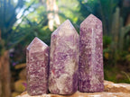 Polished Lepidolite Display Crystals x 12 From Ambatondrazaka, Madagascar - Toprock Gemstones and Minerals 