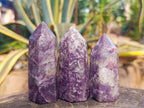 Polished Lepidolite Display Crystals x 12 From Ambatondrazaka, Madagascar - Toprock Gemstones and Minerals 