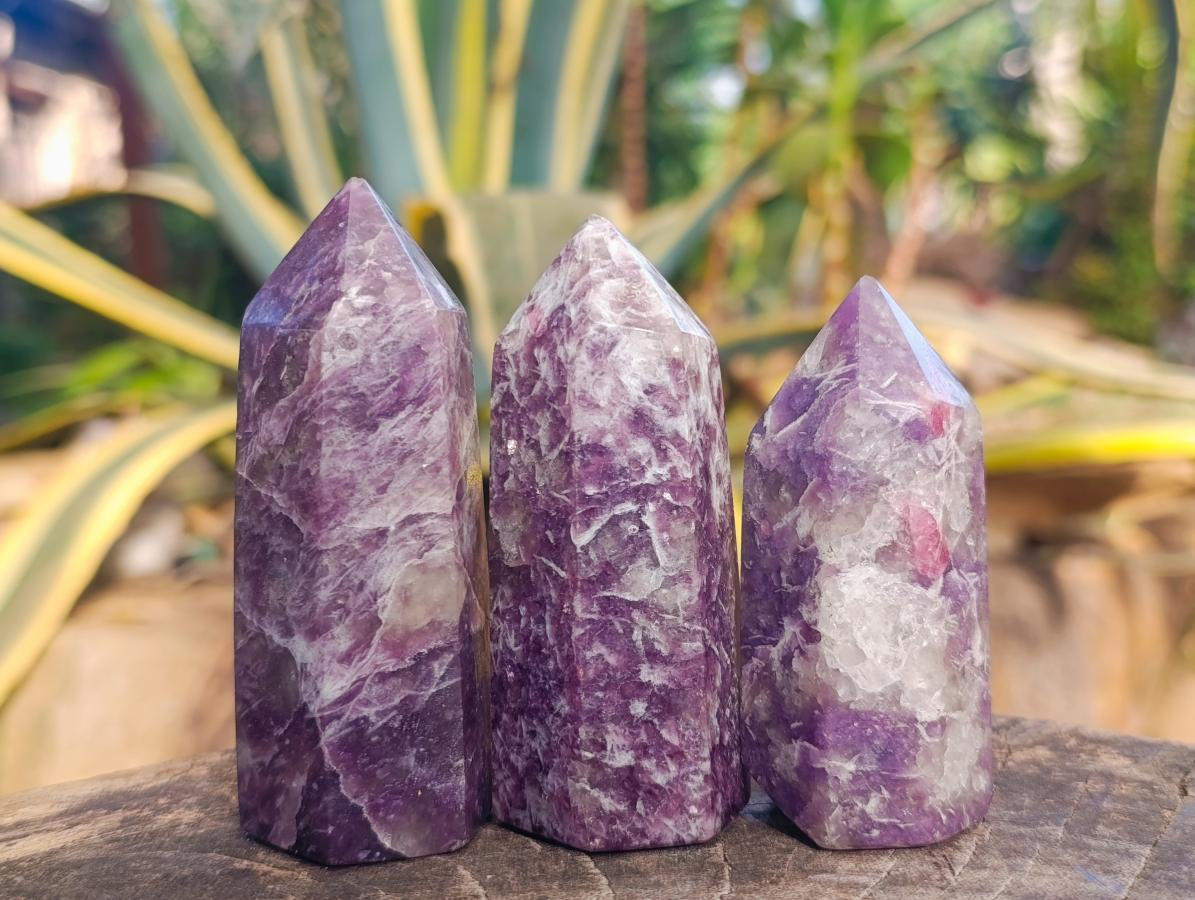 Polished Lepidolite Display Crystals x 12 From Ambatondrazaka, Madagascar - Toprock Gemstones and Minerals 