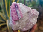 Natural Pink Rubellite Tourmaline Specimens x 6 From Karibib, Namibia - Toprock Gemstones and Minerals 