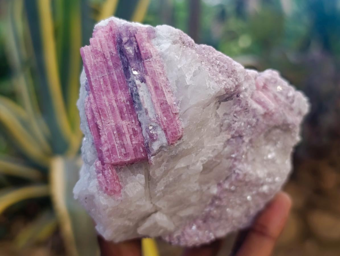 Natural Pink Rubellite Tourmaline Specimens x 6 From Karibib, Namibia - Toprock Gemstones and Minerals 