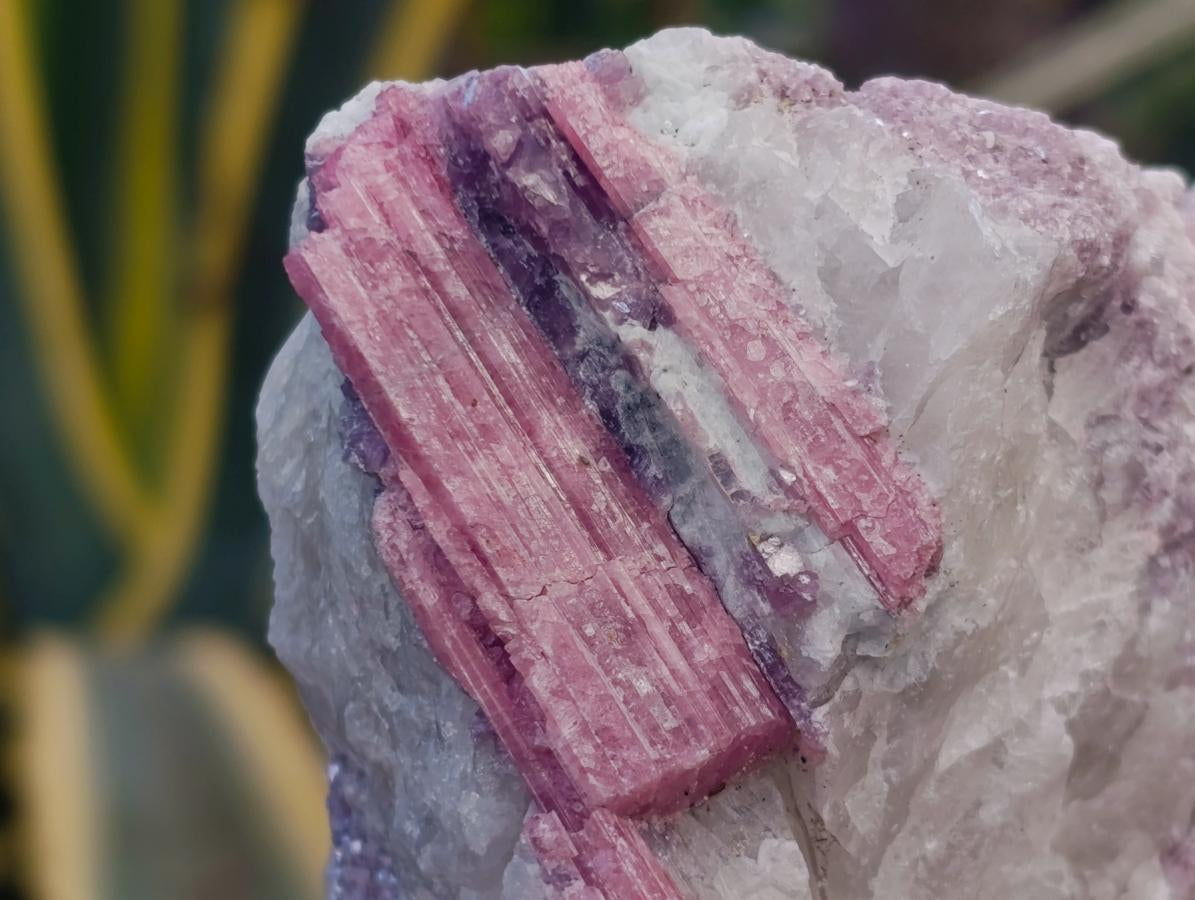 Natural Pink Rubellite Tourmaline Specimens x 6 From Karibib, Namibia - Toprock Gemstones and Minerals 