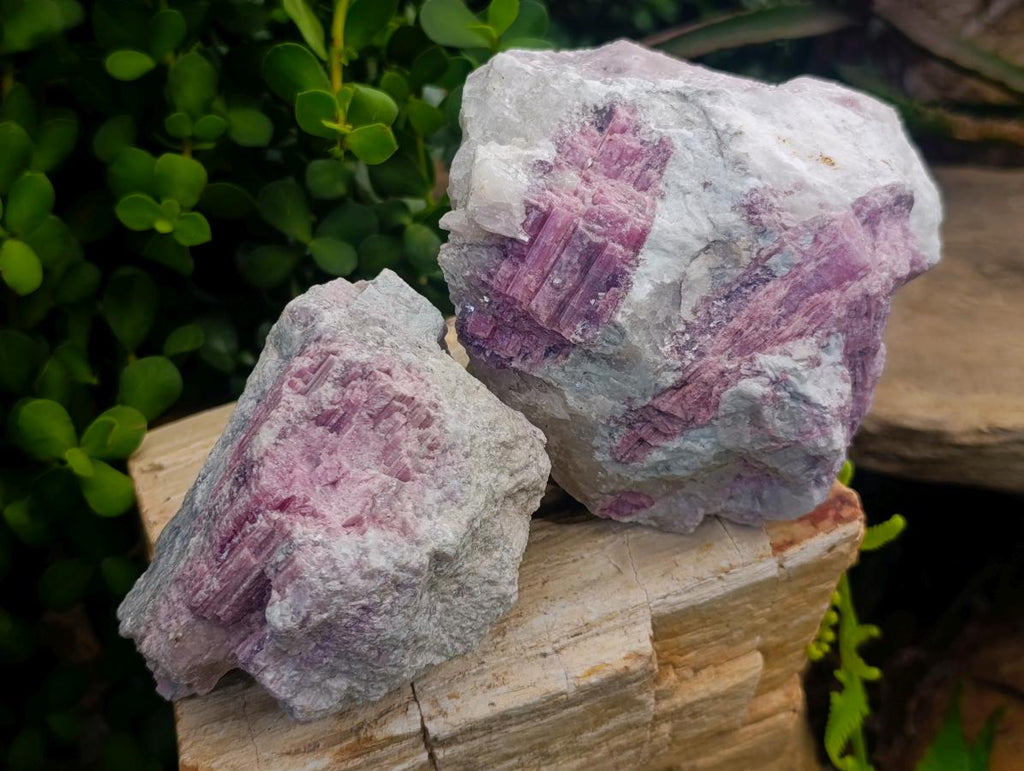 Natural Pink Rubellite Tourmaline Specimens x 6 From Karibib, Namibia - Toprock Gemstones and Minerals 