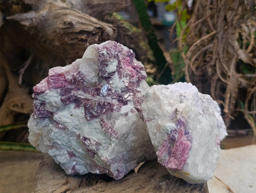 Natural Pink Rubellite Tourmaline Specimens x 6 From Karibib, Namibia - Toprock Gemstones and Minerals 