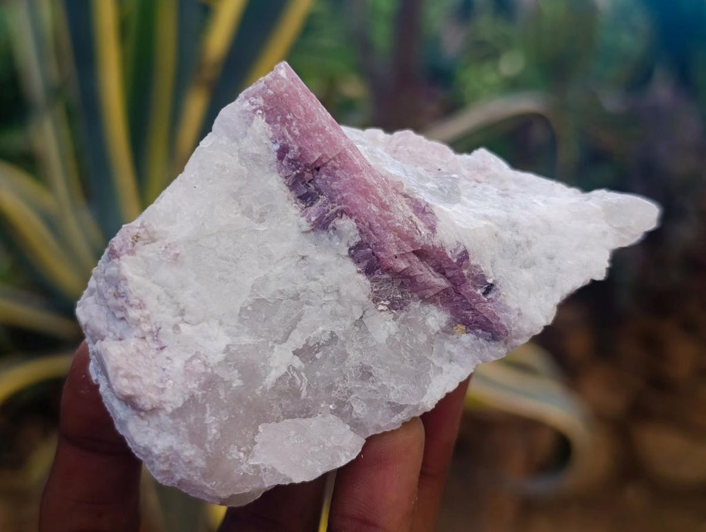 Natural Pink Rubellite Tourmaline Specimens x 6 From Karibib, Namibia - Toprock Gemstones and Minerals 