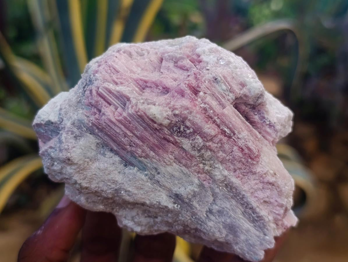 Natural Pink Rubellite Tourmaline Specimens x 6 From Karibib, Namibia - Toprock Gemstones and Minerals 