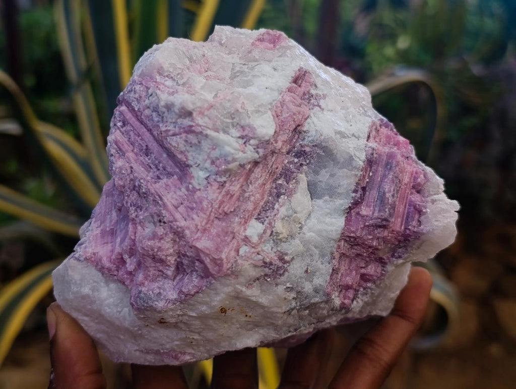 Natural Pink Rubellite Tourmaline Specimens x 6 From Karibib, Namibia - Toprock Gemstones and Minerals 