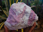 Natural Pink Rubellite Tourmaline Specimens x 6 From Karibib, Namibia - Toprock Gemstones and Minerals 