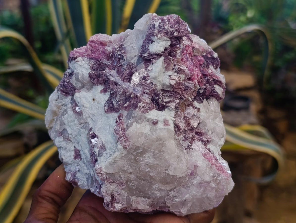 Natural Pink Rubellite Tourmaline Specimens x 6 From Karibib, Namibia - Toprock Gemstones and Minerals 