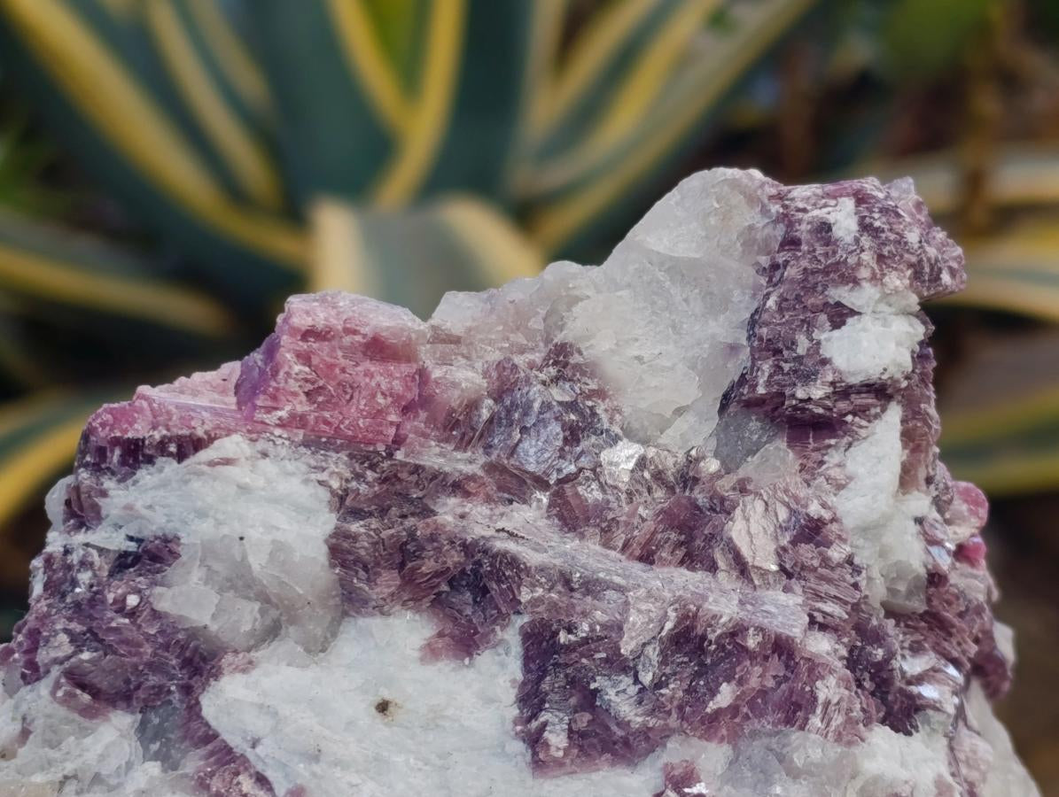 Natural Pink Rubellite Tourmaline Specimens x 6 From Karibib, Namibia - Toprock Gemstones and Minerals 