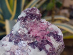 Natural Pink Rubellite Tourmaline Specimens x 6 From Karibib, Namibia - Toprock Gemstones and Minerals 