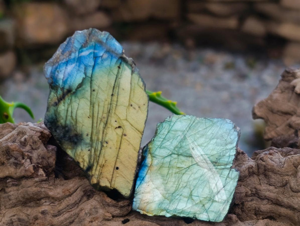 Polished One Side Labradorite Slices x 35 From Madagascar - Toprock Gemstones and Minerals 
