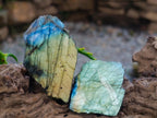 Polished One Side Labradorite Slices x 35 From Madagascar - Toprock Gemstones and Minerals 