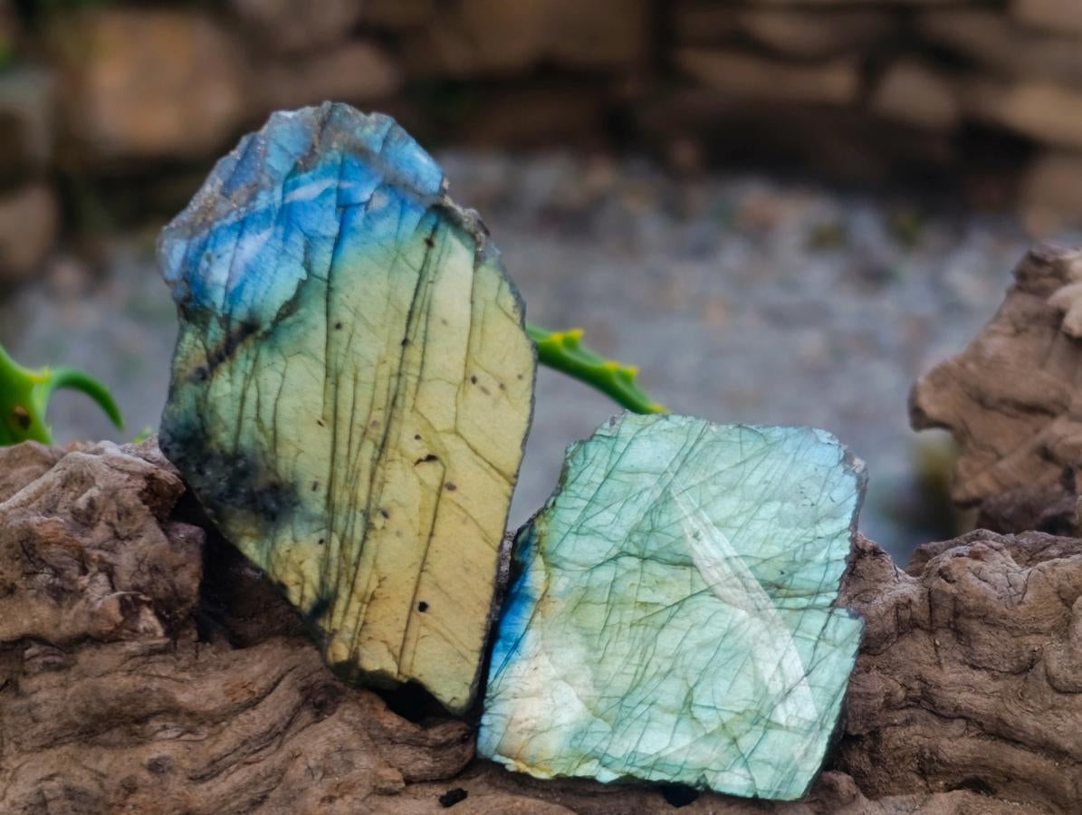 Polished One Side Labradorite Slices x 35 From Madagascar - Toprock Gemstones and Minerals 