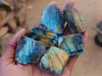 Polished One Side Labradorite Slices x 35 From Madagascar - Toprock Gemstones and Minerals 