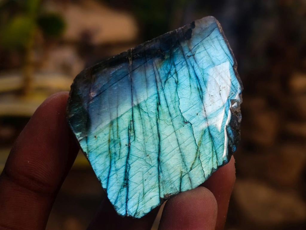 Polished One Side Labradorite Slices x 35 From Madagascar - Toprock Gemstones and Minerals 