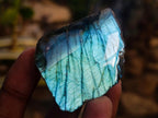 Polished One Side Labradorite Slices x 35 From Madagascar - Toprock Gemstones and Minerals 