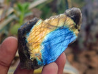 Polished One Side Labradorite Slices x 35 From Madagascar - Toprock Gemstones and Minerals 