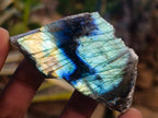 Polished One Side Labradorite Slices x 35 From Madagascar - Toprock Gemstones and Minerals 