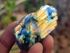 Polished One Side Labradorite Slices x 35 From Madagascar - Toprock Gemstones and Minerals 