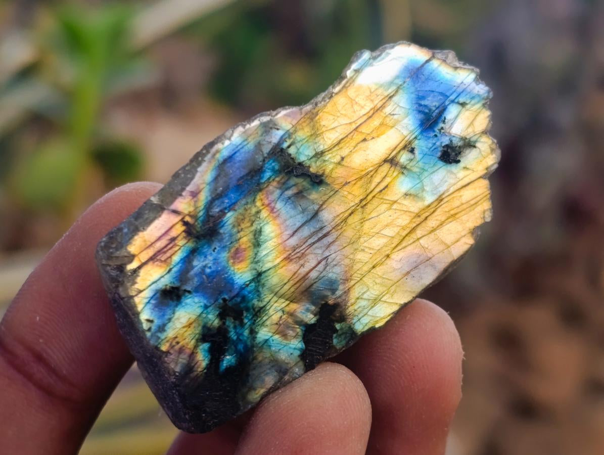 Polished One Side Labradorite Slices x 35 From Madagascar - Toprock Gemstones and Minerals 