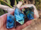 Polished One Side Labradorite Slices x 35 From Madagascar - Toprock Gemstones and Minerals 
