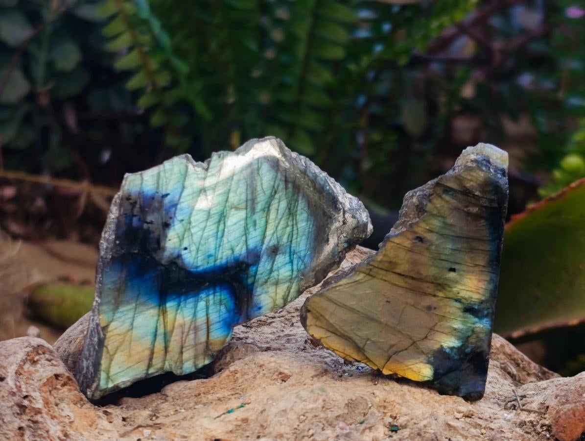 Polished One Side Labradorite Slices x 35 From Madagascar - Toprock Gemstones and Minerals 