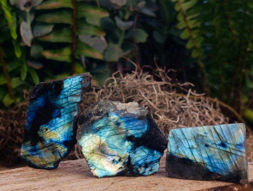 Polished One Side Labradorite Slices x 35 From Madagascar - Toprock Gemstones and Minerals 