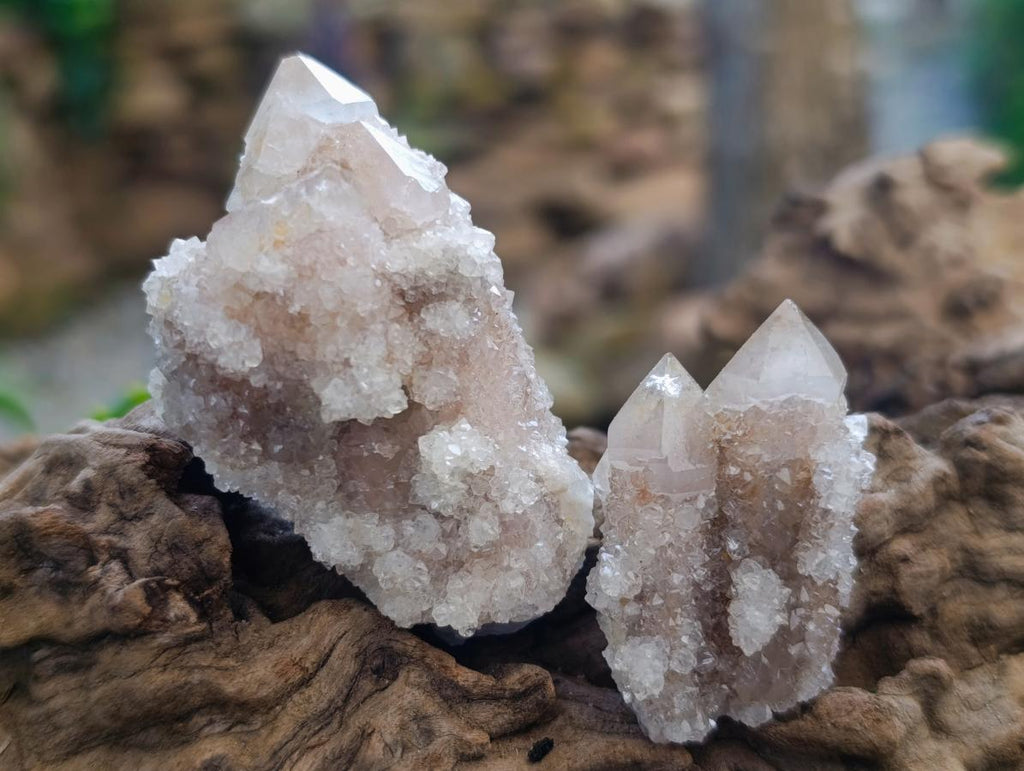 Natural Mix of Spirit Quartz Crystals and Clusters x 35 From Boekenhouthoek, South Africa - Toprock Gemstones and Minerals 