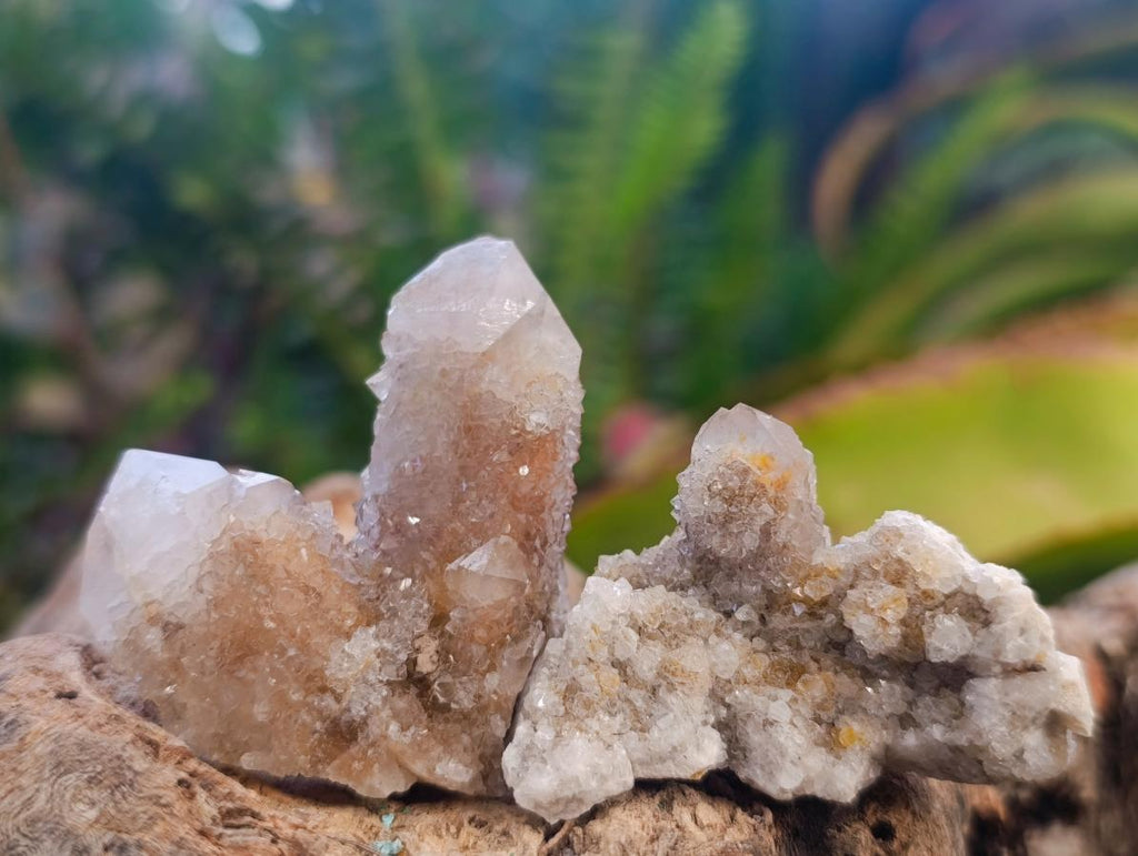 Natural Mix of Spirit Quartz Crystals and Clusters x 35 From Boekenhouthoek, South Africa - Toprock Gemstones and Minerals 