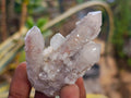 Natural Mix of Spirit Quartz Crystals and Clusters x 35 From Boekenhouthoek, South Africa - Toprock Gemstones and Minerals 